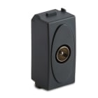 MASTER SRL - MST31265 MODO PRESA COAX IEC MASCHIO GRIGIO