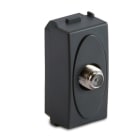 MASTER SRL MST31266 MODO PRESA TV CONNETTORE IEC FEMMINA