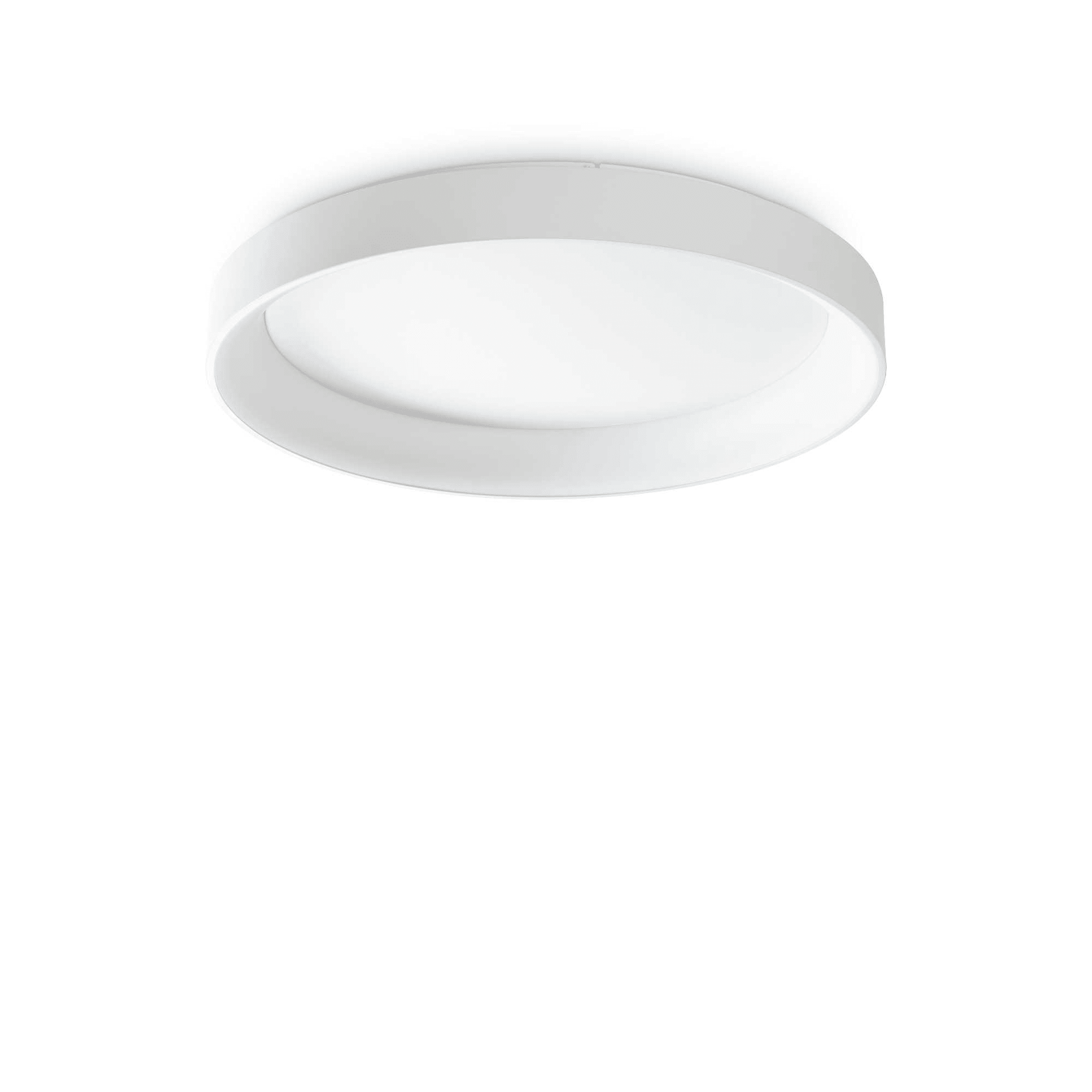 IDEAL LUX SRL - IUX317908 ZIGGY PL D080 BIANCO