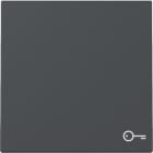 GIRA - GIR328728 IB sim.porta System 55 antracite