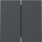 GIRA GGI329528 INT.BIL.2-M SYSTEM 55 ANTRACITE