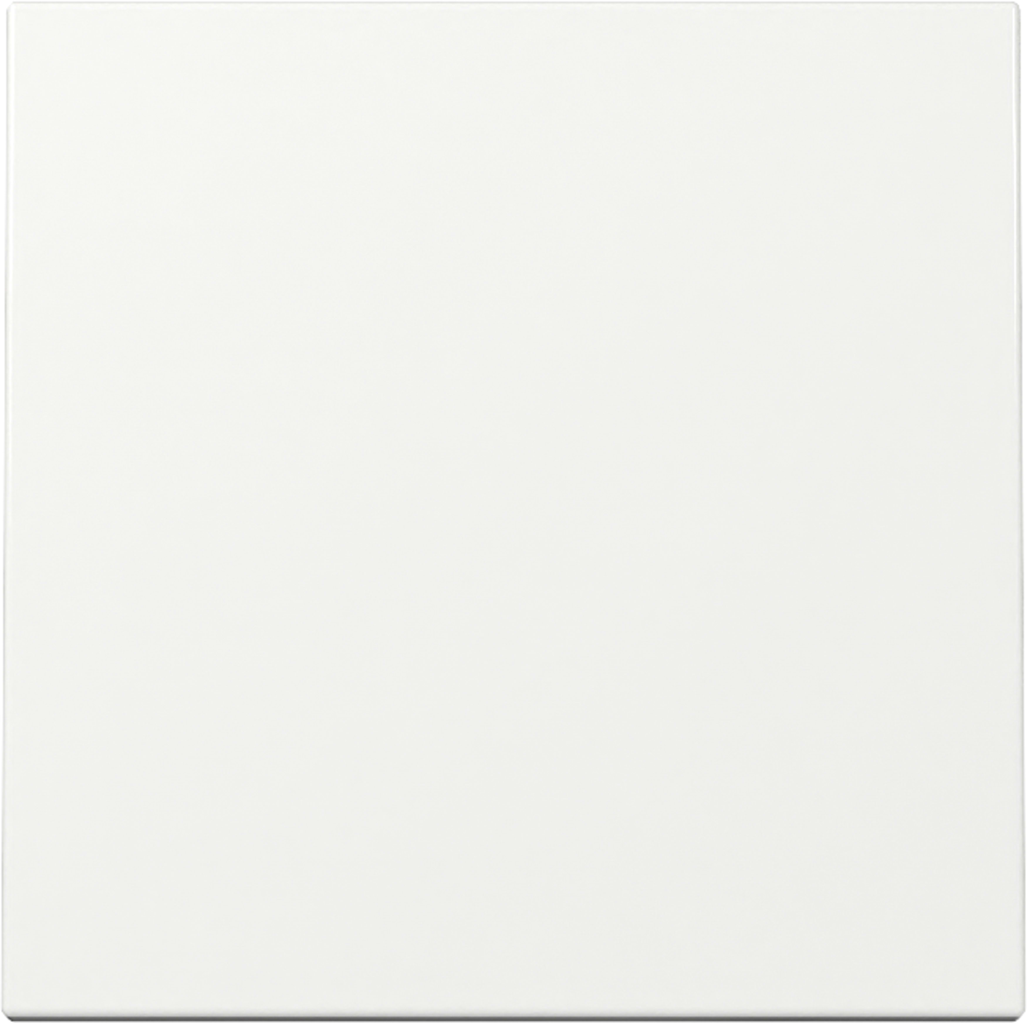 GIRA - GIR329603 INT.BIL. SYSTEM 55 BNC PURO