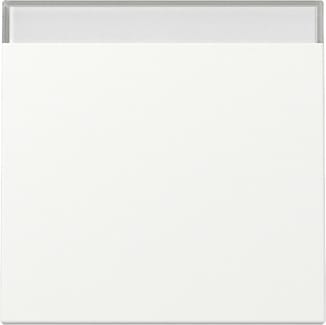 GIRA - GGI329927 INT.BIL. CT SYSTEM 55 BNC PURO S