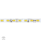 LINEA LIGHT (ILED) - ILDC0027DDI05000 LED Strip | 600 topLED 62.5 W DC 24 V | 12.5 W/m