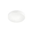 ROSSINI - RSS3619-30-LED APPLIQUE/PLAFONIERA TONDA VETRO SATINATO