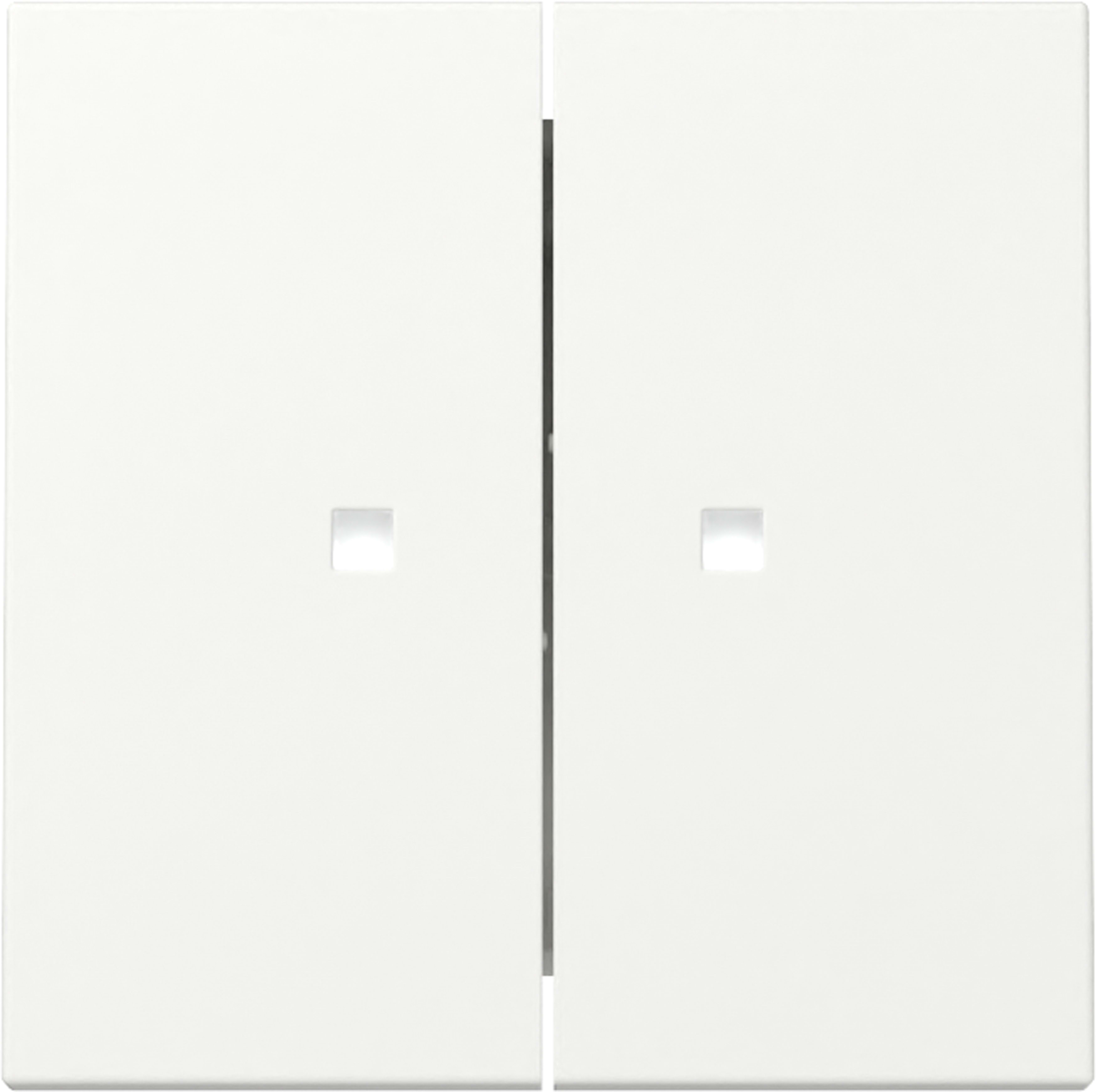 GIRA - GIR363127 BIL.2-M FIN.CTRL. SYSTEM 55 BNC PURO S