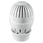 GIACOMINI SPA - GIAR470X001 TESTA TERMOSTATICA