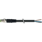 MURRELEKTRONIK SRL MUE7000080016100500 M8 MAS. 0? CON CAVO