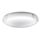 3F FILIPPI - 3FF34234 3F PETRA OP 300 12W/940 LED