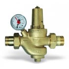 WATTS INDUSTRIES ITA - WAT0501320 DRV20M RIDUTT. PRESS. MAN.