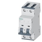 SIEMENS - SIE5SY42108 INT MT 2P D10 ICN 10KA ICU 20KA