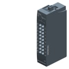 SIEMENS SIE6ES71936TP000TN0 POTDIS-TB-N.C.-G, VPE 1