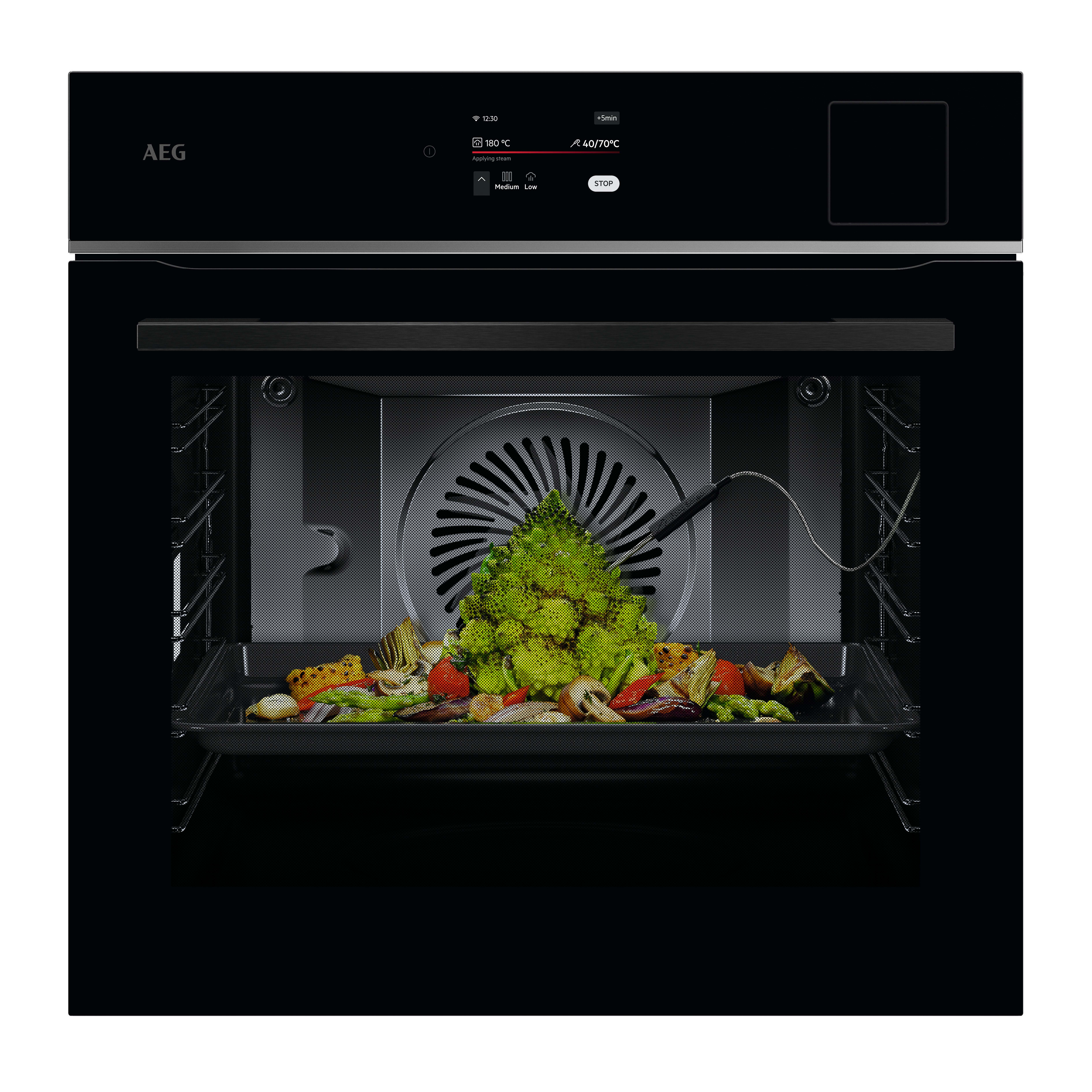 AEG HAUSGERATE AGZ944035024 Einbaudampfbackofen 27BA 70L LongCl Damp