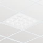 Philips - PBZ10936000 RC461B 40S/840 PSD W60L60 VPC PIP UE.