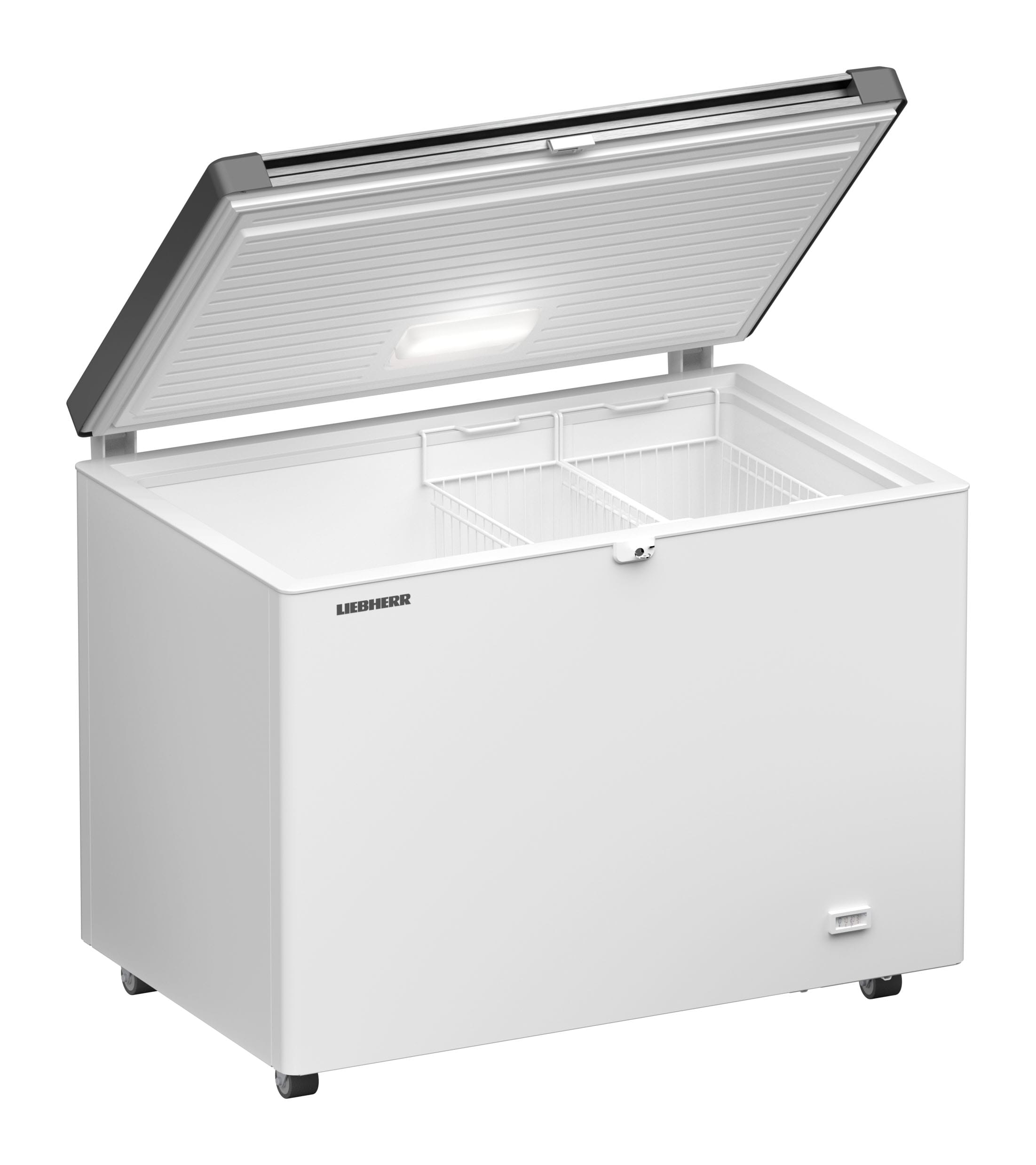 Liebherr LIE997207051 Gastro-Gefriertruhe statisch 266L 2KArb