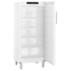 Liebherr LIE993599251 Gastro-Gefrierschrank statisch 289L 10KA
