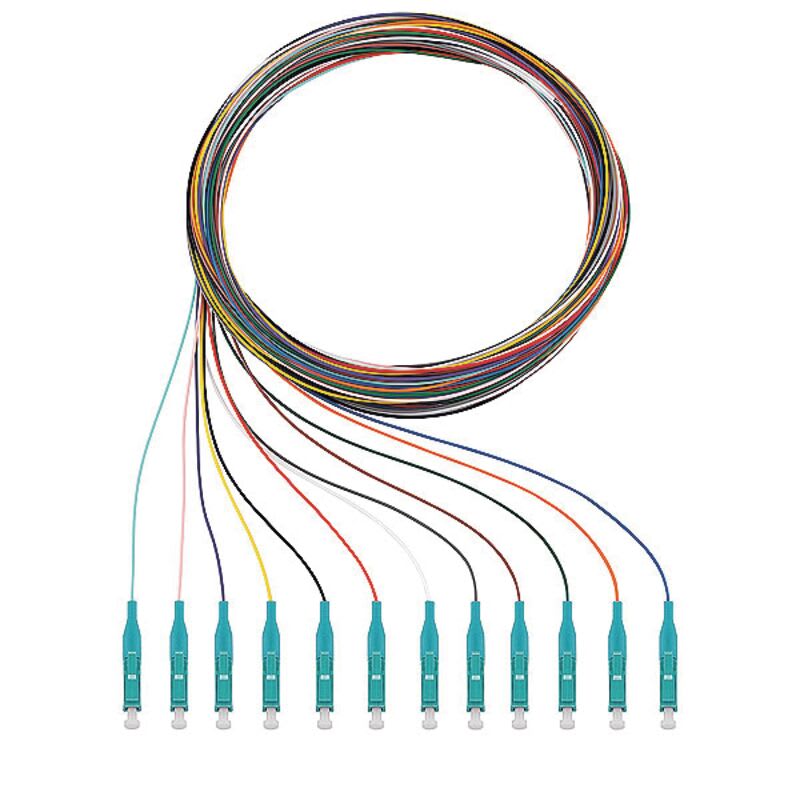 RUTENBECK - RUTN228 040 002 Q8Pigtails 12xLC OM3 2m