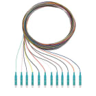 RUTENBECK - RUTN228 040 002 Q8Pigtails 12xLC OM3 2m