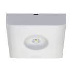 EATON - EAO40071356733 GUIDELED SL 13022.2 CGS SUPERFICIE, SIMM