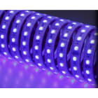 NOBILE ITALIA NOB80331/RGB STRIP 5M 14W/M 84LED/M RGB IP67 24V