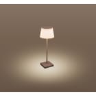 CENTURY ITALIA SRL - CUYMRGCO-043830 LAMP. DA TAVOLO MARG RICAR. CORTEN