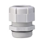 BM SPA - BMM4042 PRESS NYLON IP 68 PG 42 RAL7035