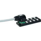 MURRELEKTRONIK SRL MUE27024 MVP12 8XM12 4 POLI A CABLARE