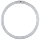 DURALAMP SPA - DRL4086T CIRCOLINA G10Q 40W 6500K TRIFOSFORO