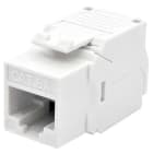 ELCART DISTRIBUTION ERT401349300 WPC-KEY-6AUP-TL/BL PR.KEY CAT6A N