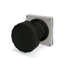 SCAME PARRE SPA - SCASCM360R8W PRESA FISSA 60A 2P 3W 8H IP67 550VDC