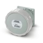 SCAME PARRE SPA - SCA428.32663 PRESA INC.DIR.3P+T 32A IP67 12H