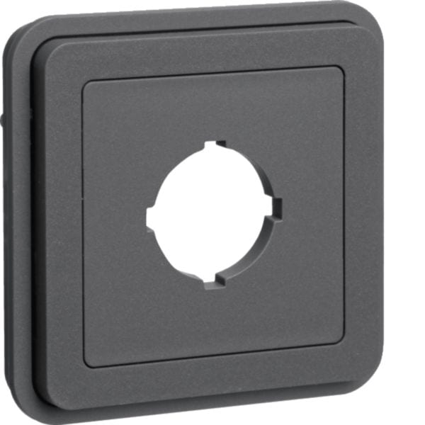 BERKER BRK42913505 INSERTO FORO X PRESA D 22.5 MM W1 GRIGIO