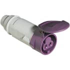 LEGRAND - LEG055231 PRESA MOBILE IP44 16A 2P 24V