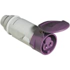 LEGRAND LEG055231 PRESA MOBILE IP44 16A 2P 24V