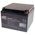 MELCHIONI SPA - MEM491460210 BATT PIOMBO RIC.12V 25AH TERMINALE T3 MK