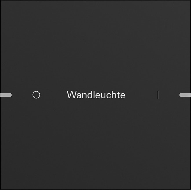 GIRA - GIR5031905 Wippenset 1f indiv. Tastsens.4 TS4 Schwa