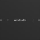 GIRA - GIR5031905 Wippenset 1f indiv. Tastsens.4 TS4 Schwa