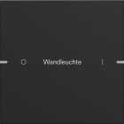 GIRA - GIR5031905 Wippenset 1f indiv. Tastsens.4 TS4 Schwa