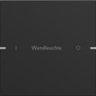 GIRA GGI5031905 Wippenset 1f indiv. Tastsens.4 TS4 Schwa