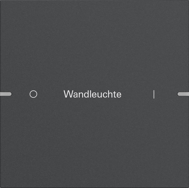 GIRA - GIR5031928 Wippenset 1f indiv. Tastsens.4 TS4 Anthr