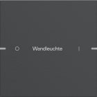 GIRA - GIR5031928 Wippenset 1f indiv. Tastsens.4 TS4 Anthr