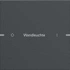 GIRA - GIR5031928 Wippenset 1f indiv. Tastsens.4 TS4 Anthr