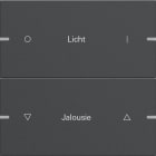 GIRA - GIR5032928 Wippenset 2f indiv. Tastsens.4 TS4 Anthr