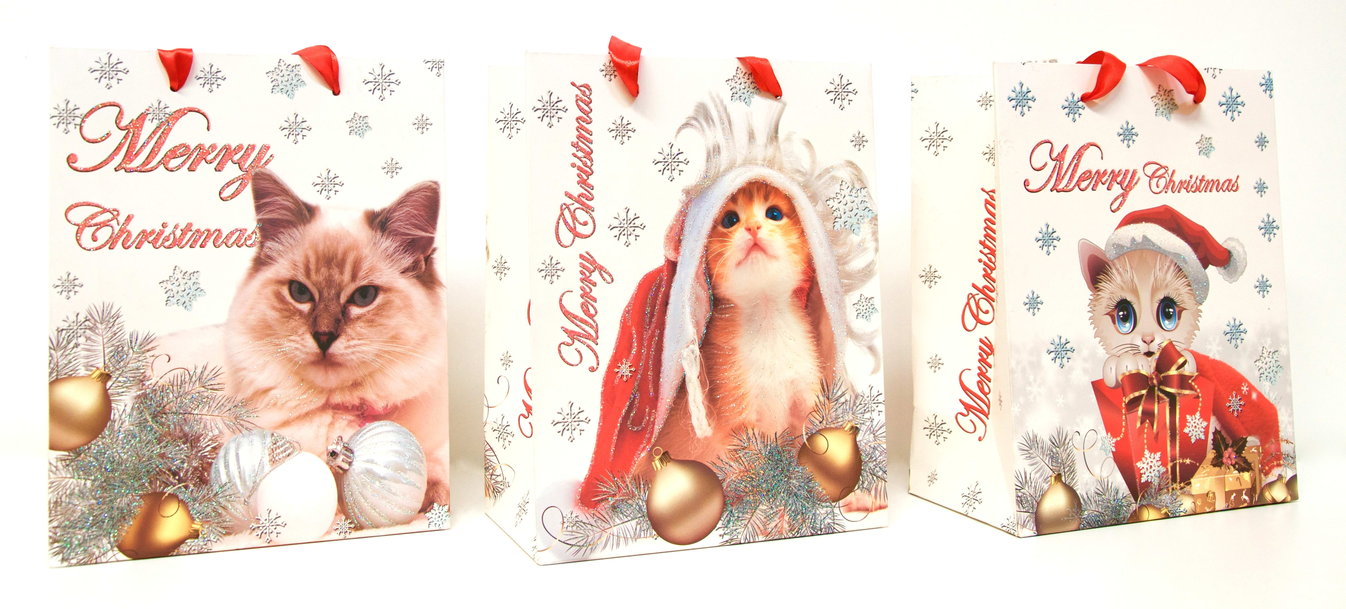 GIOCOPLAST NATALE SP - GCP51515407 SHOPPER CM 23 X 18 - 3 ASS