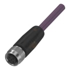 BALLUFF AUTOMATION - BAUBCC070Z BCC M415-0000-1B-031-PS72N1-050