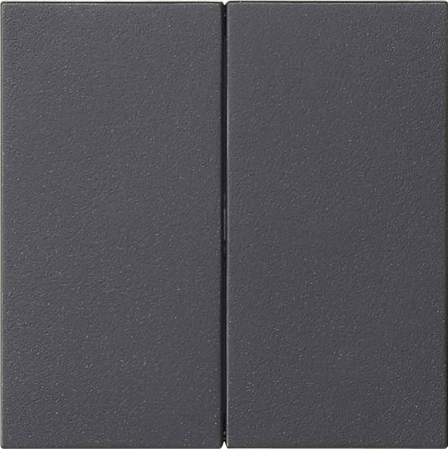 GIRA - GIR536228 S3000 PANN.COMANDO 2X SYSTEM 55 ANTRACIT