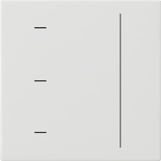 GIRA - GGI536503 PNL.TATTILE S3000 SYSTEM 55 BNC PURO
