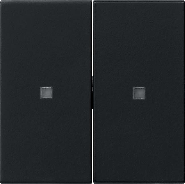 GIRA - GIR5369005 BIL. 2M NON STAMPATO FIN.CTRL. SYSTEM 55