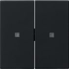GIRA GGI5369005 Wippe 2f unbedruckt Kontrollf. System 55