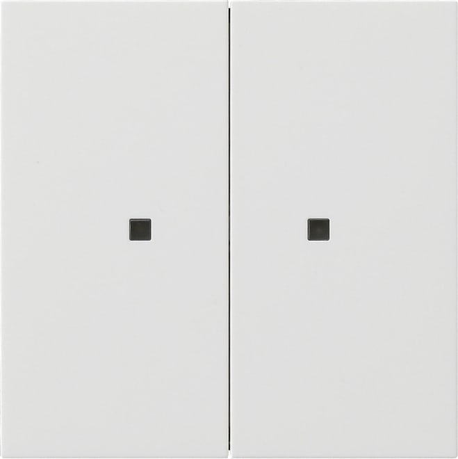 GIRA - GIR5369112 Wippe 2f unbedruckt Kontrollf. Flachensc